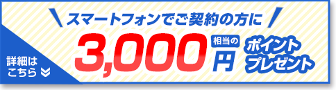スマートフォンでご契約の方に3000円相当のポイントプレゼント 詳細はこちら